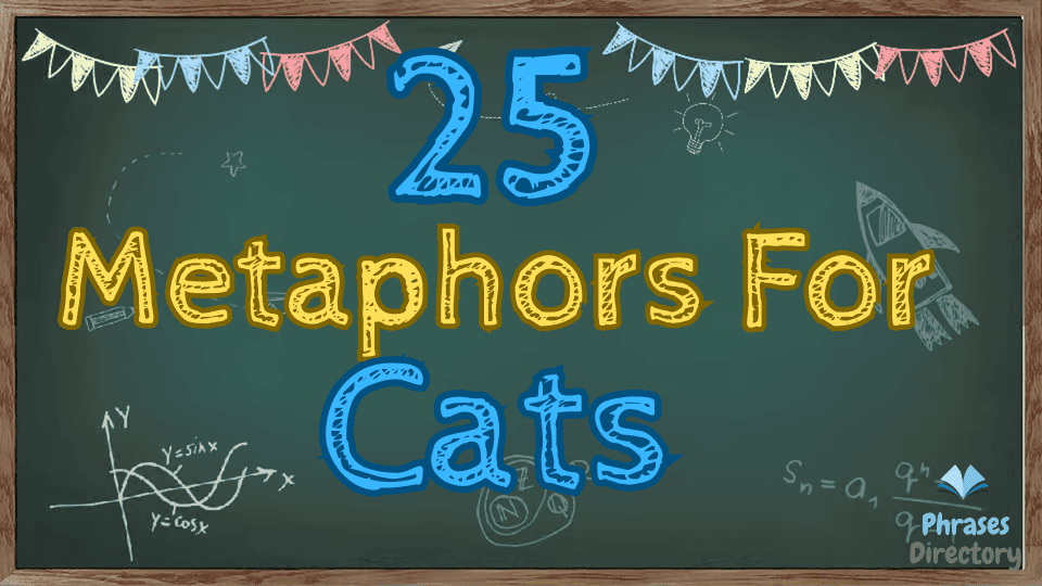 metaphors for cats