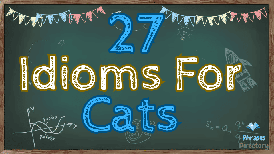 idioms for cats
